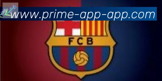 易胜博app体育合作伙伴